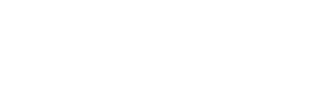 Sprengnetter Logo